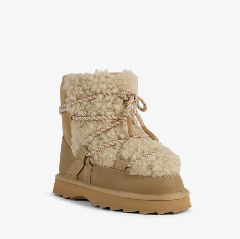Blurred Teddy Sand