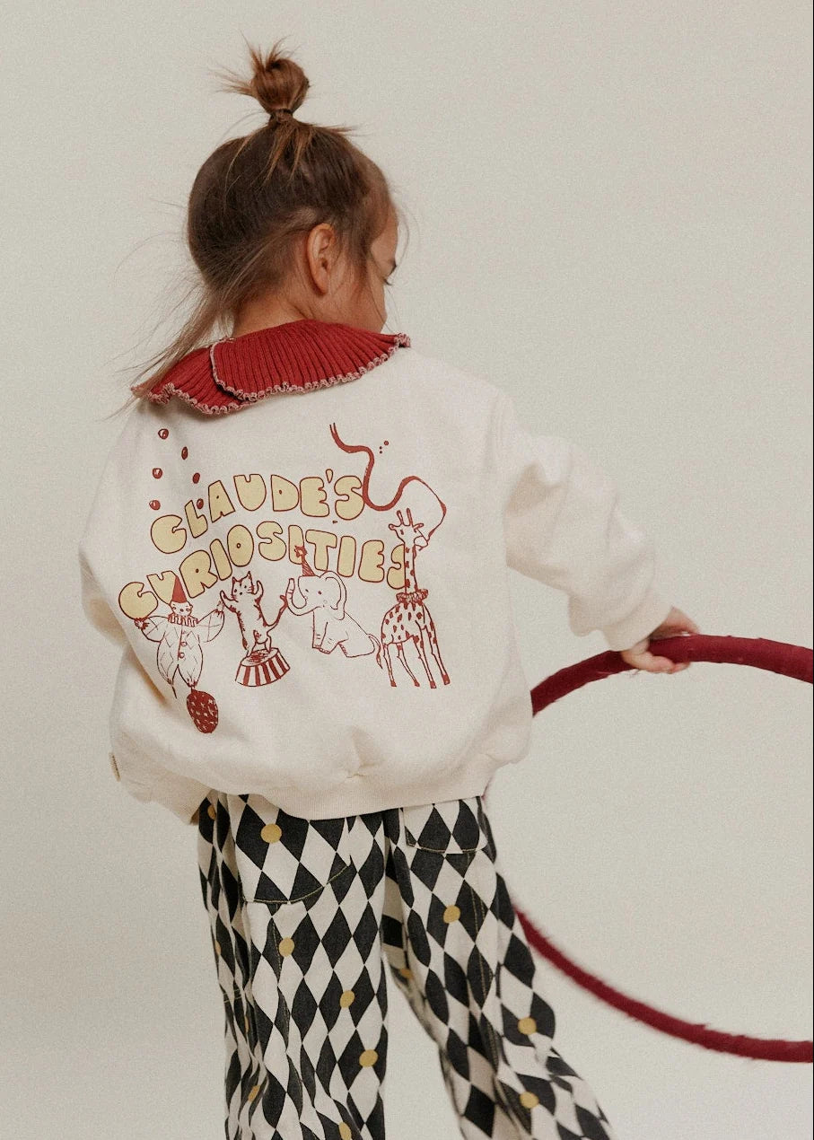 Claude & Co Curiosities Sweater