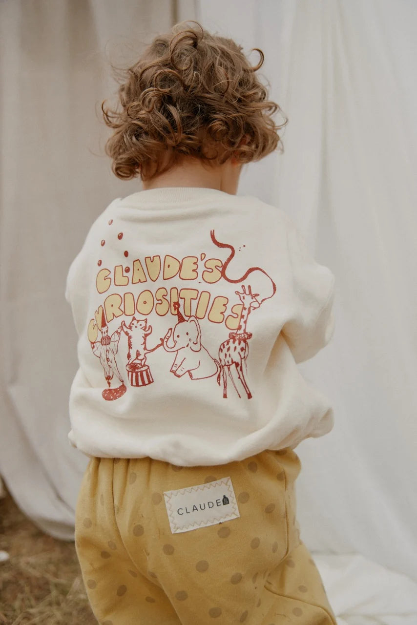 Claude & Co Curiosities Sweater