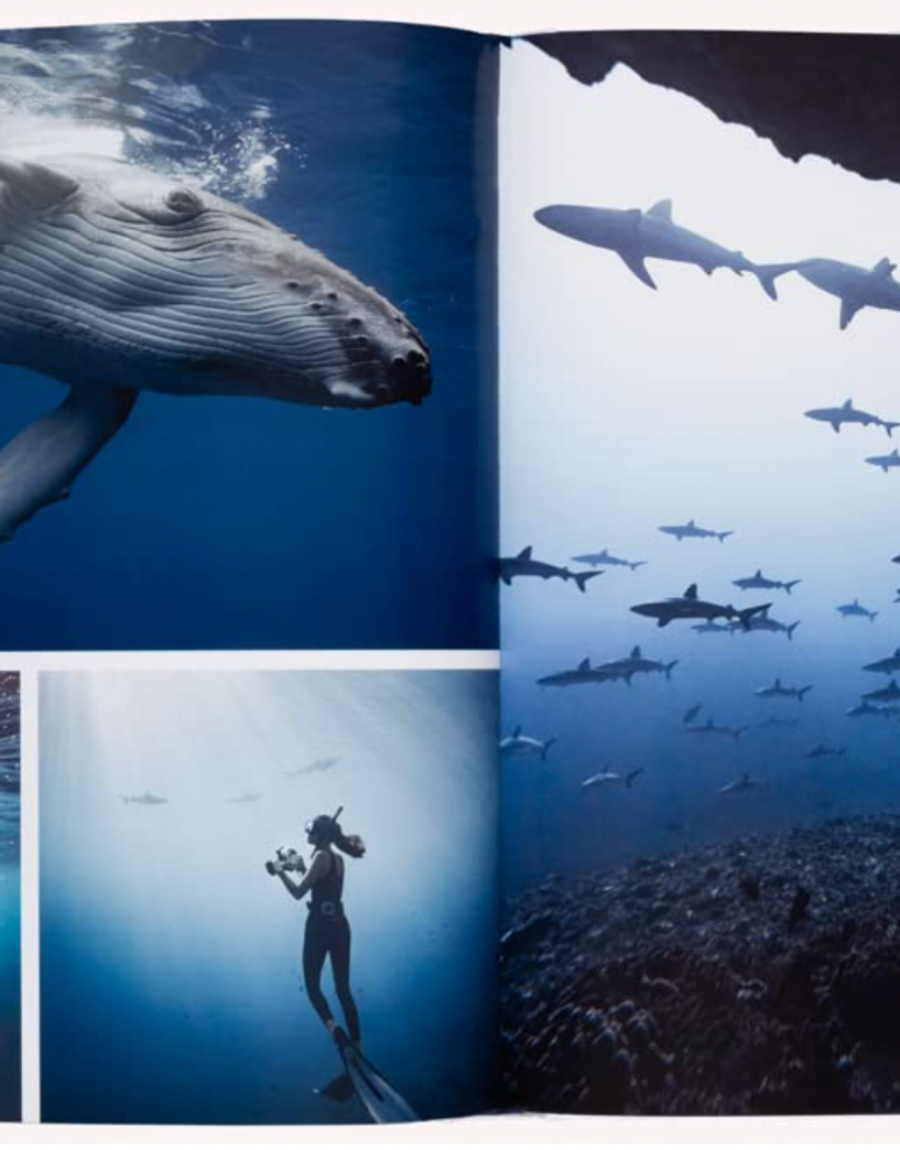 Boatlife: Exploring the Freedom of Maritime Living