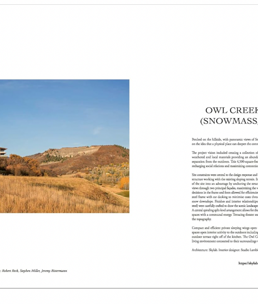 Alpine Elegance: High-End Mountain Homes