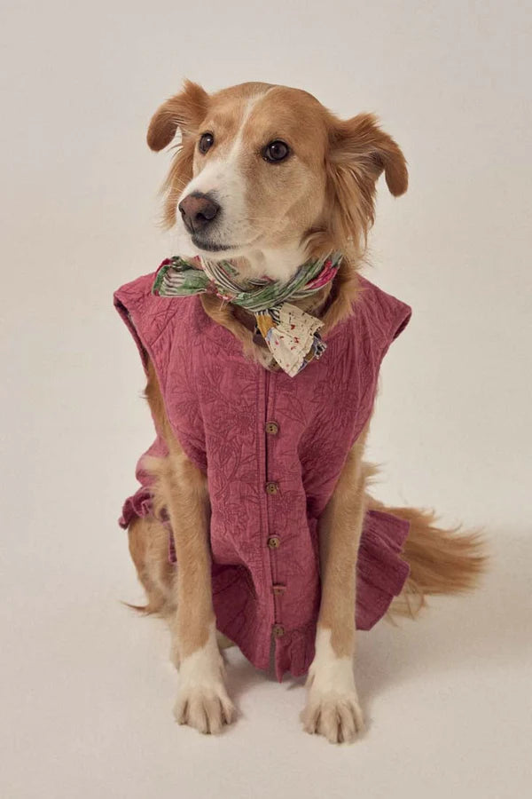 Mia Vest
