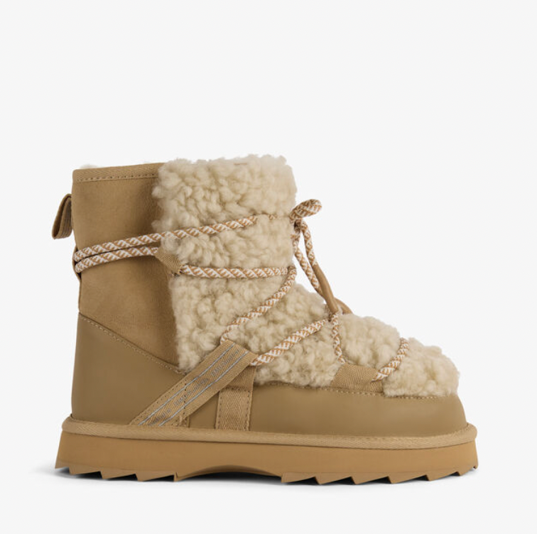 Blurred Teddy Sand