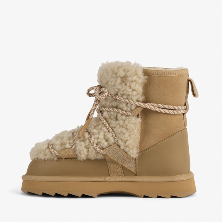 Blurred Teddy Sand